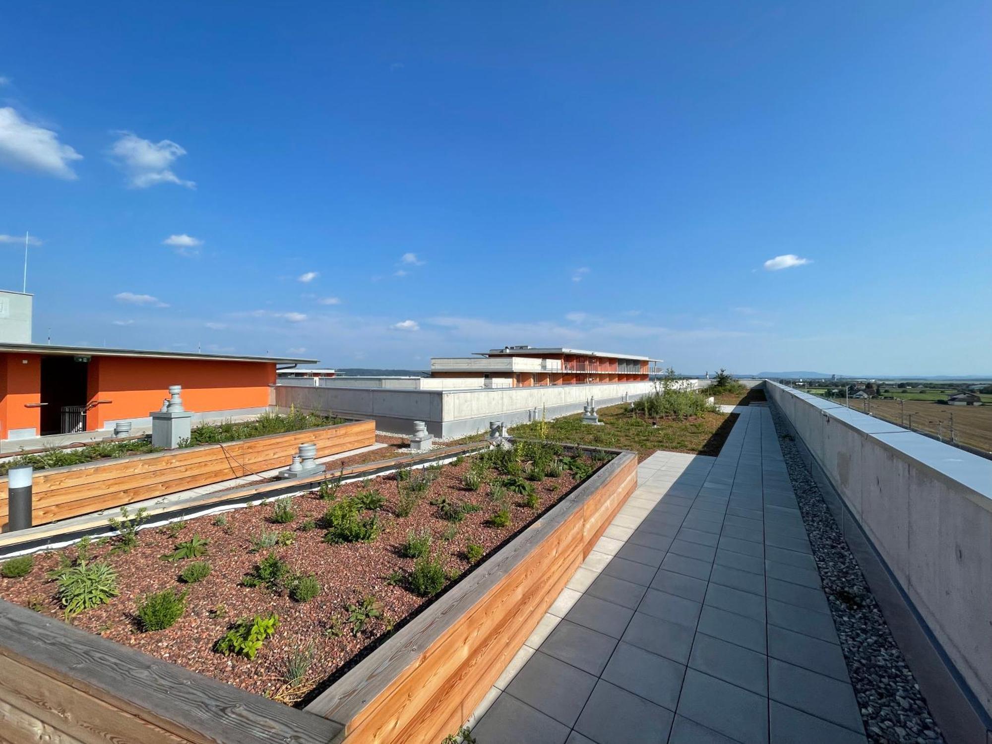 Luxusapartment Mit 40 Qm Terrasse, E-Parkplatz Und Parkplatz グラーツ エクステリア 写真