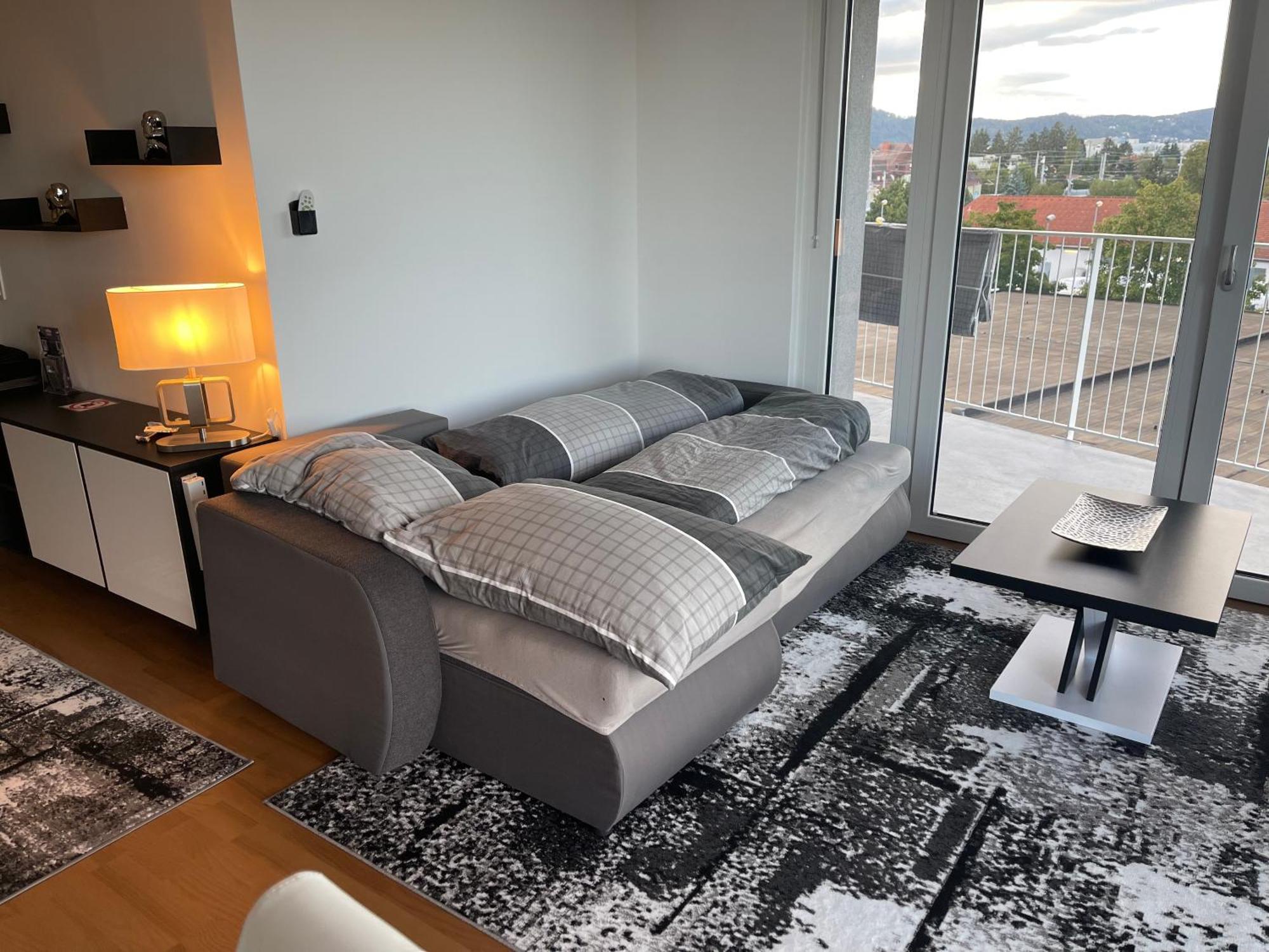 Luxusapartment Mit 40 Qm Terrasse, E-Parkplatz Und Parkplatz グラーツ エクステリア 写真